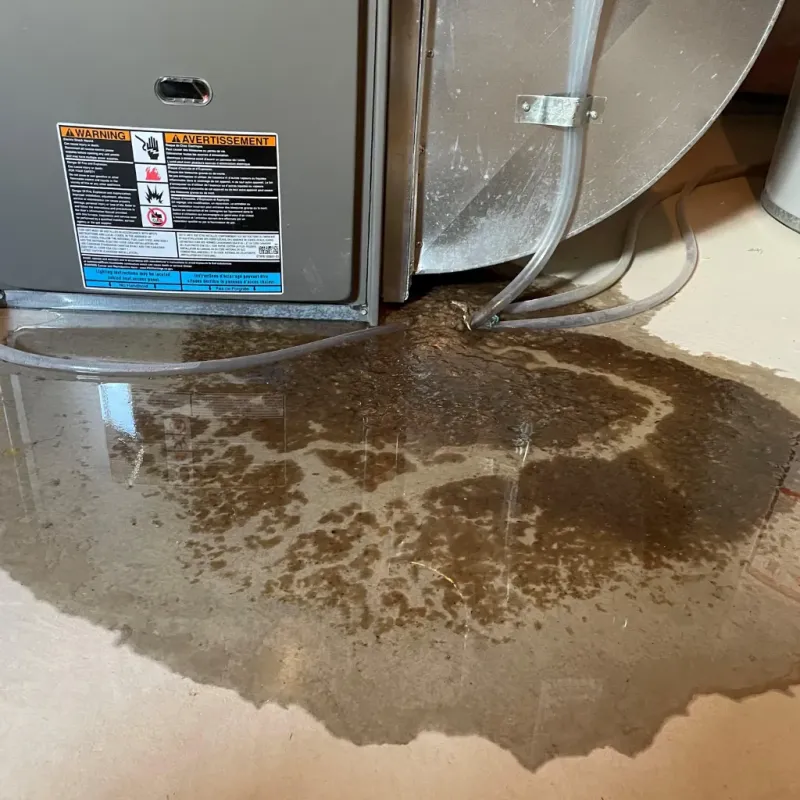 Appliance Leak Cleanup in Simonton Lake, IN