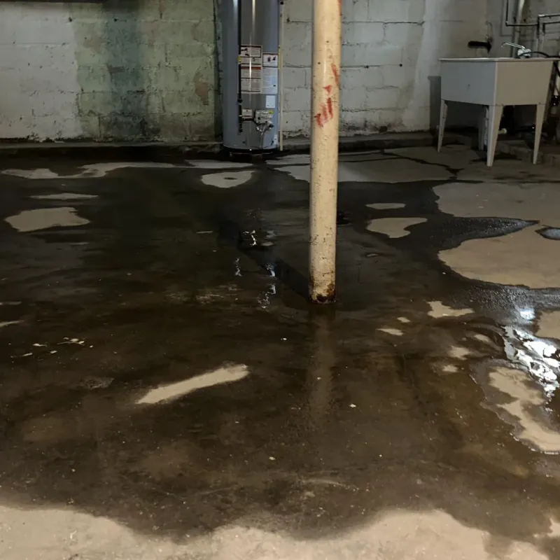 Emergency Water Extraction And Removal in Simonton Lake, IN